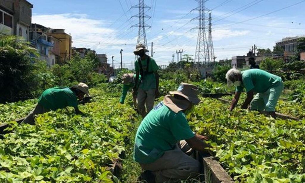 Agricultura urbana