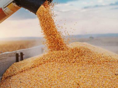 exportaciones agrícolas