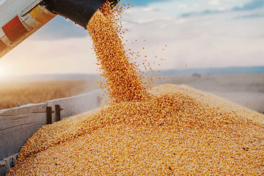 exportaciones agrícolas