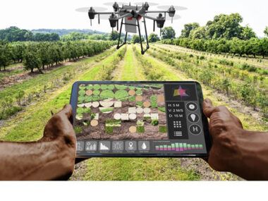 Tecnología sector agropecuario