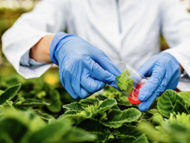 biotecnología