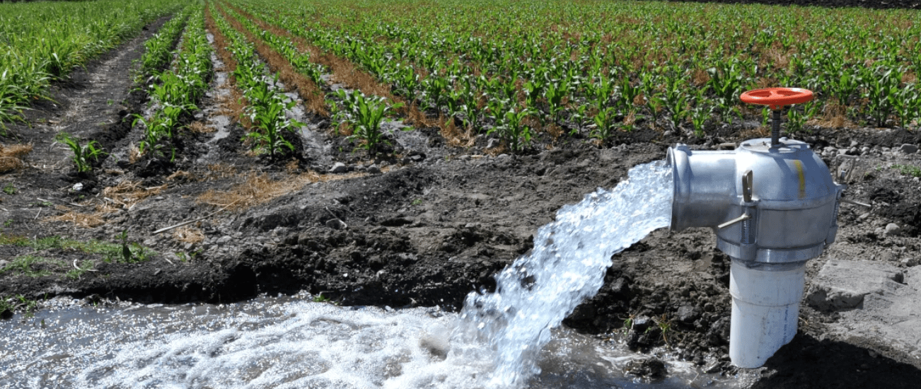 agua agricultura