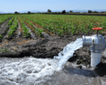 agua agricultura