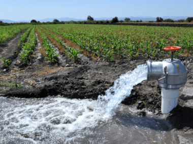 agua agricultura