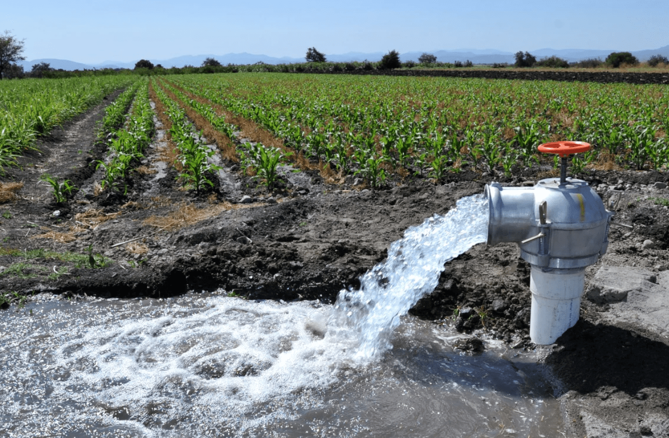 agua agricultura