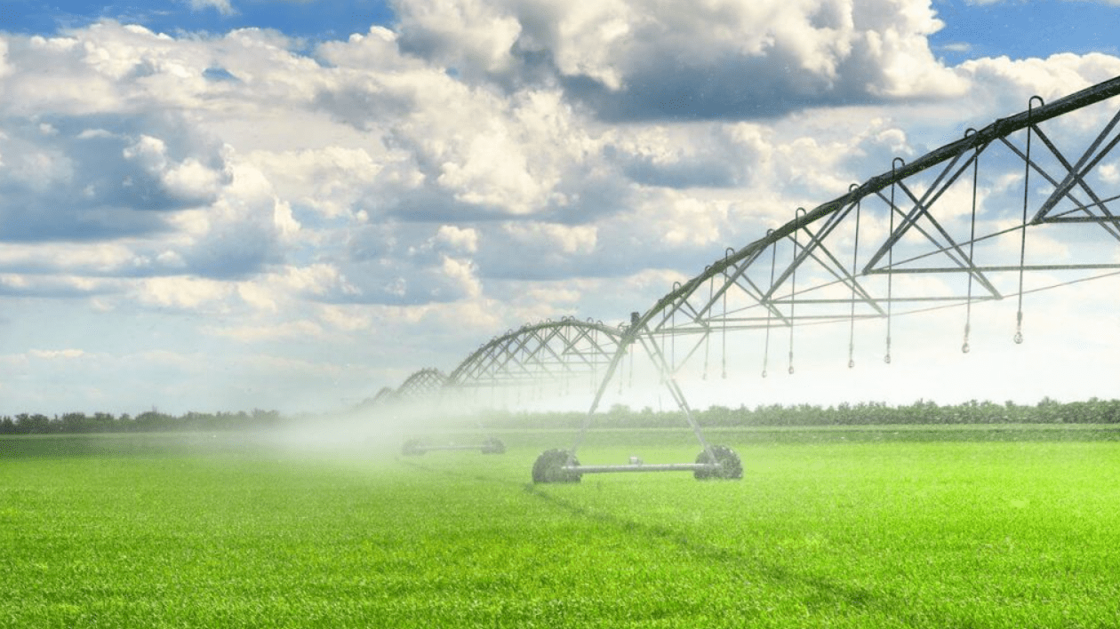agua agricultura