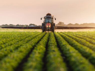 Agricultura Argentina