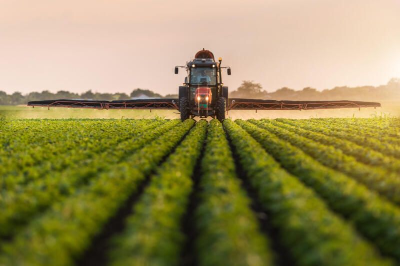 Agricultura Argentina