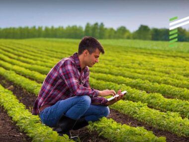 tecnología sector agropecuario Marcelo Ruiz Juárez Diego Ruiz Juárez