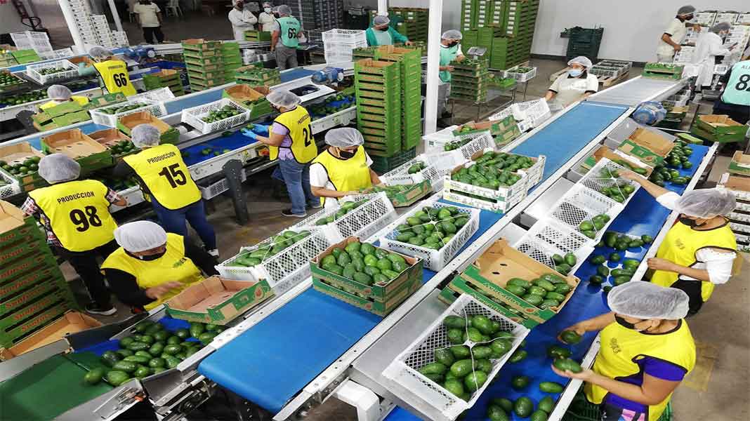 productos