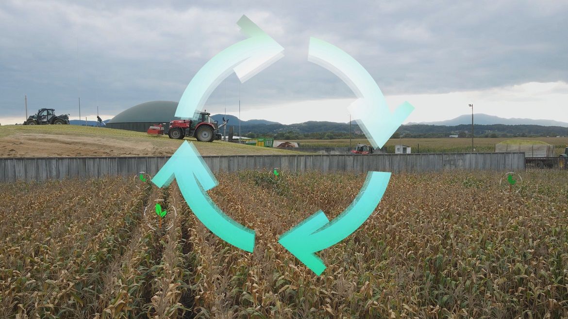 agricultura regenerativa
