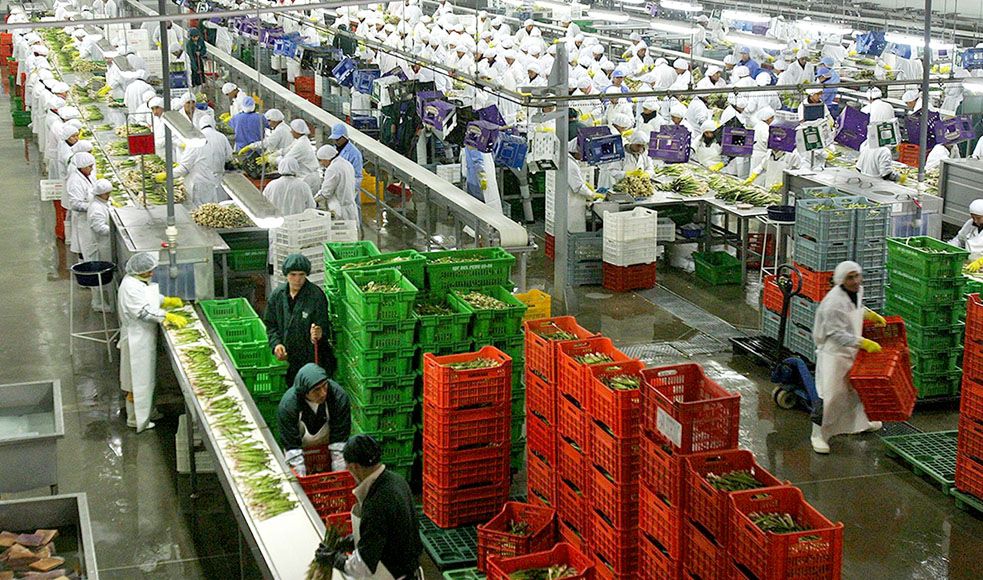 comercio exterior