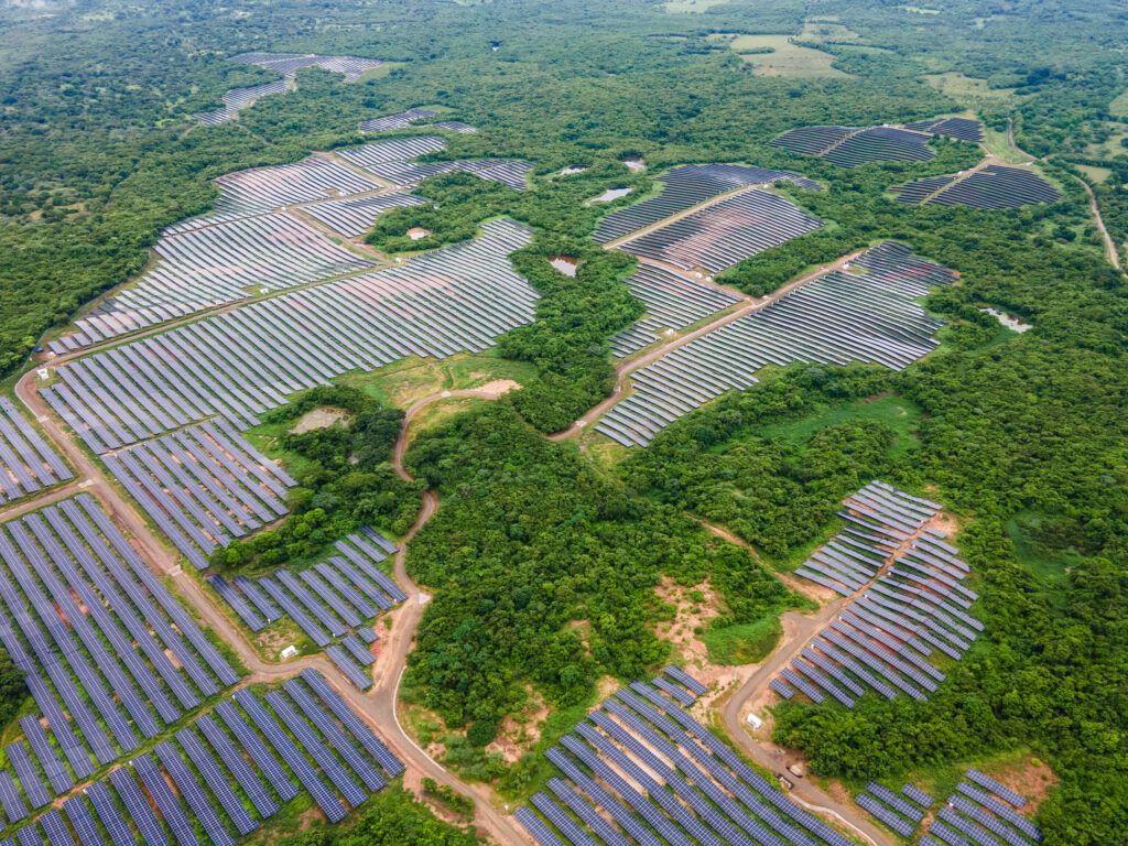 COP16