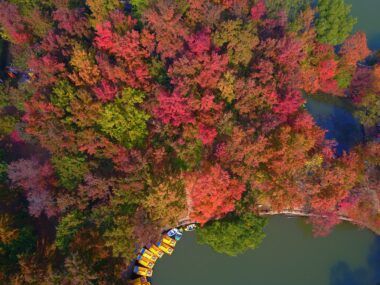 otoño en China