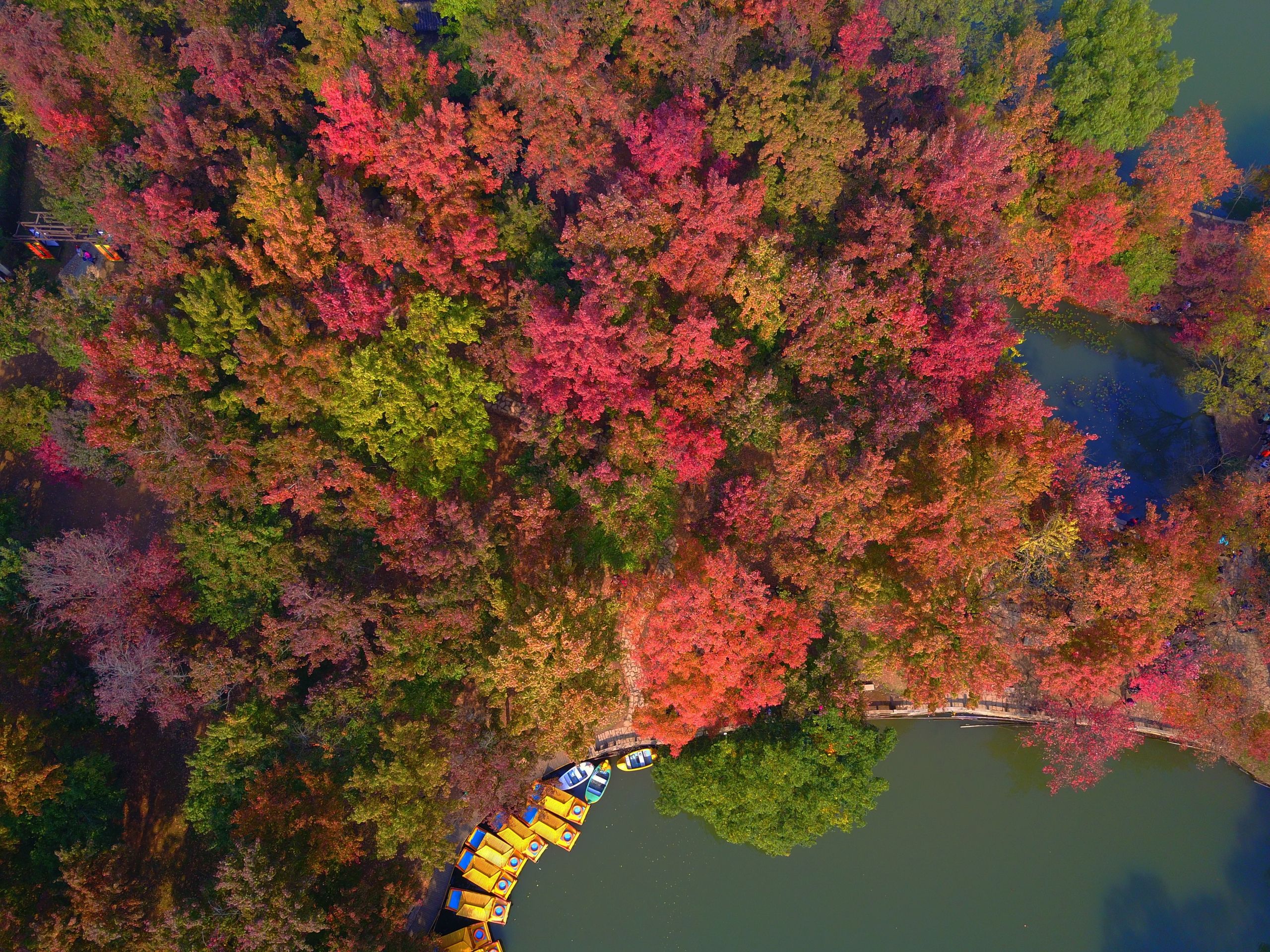 otoño en China