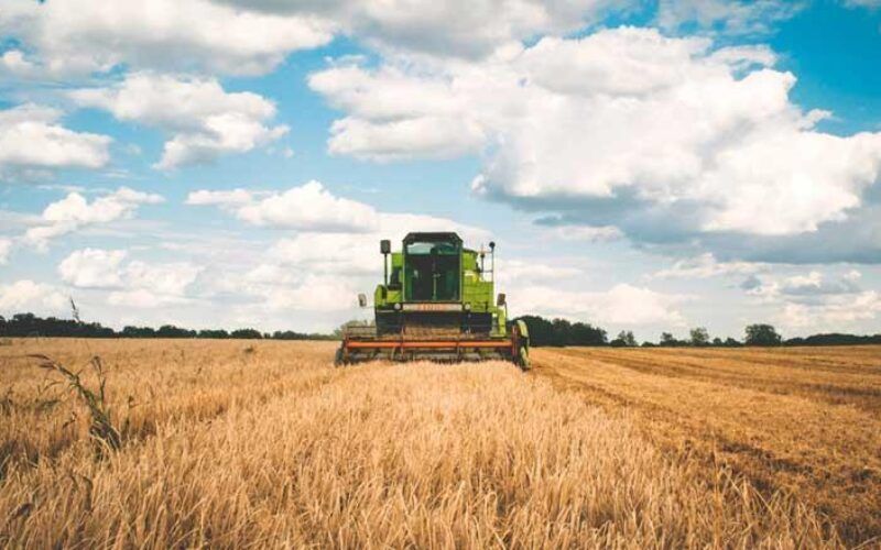 Grupo Ruiz Tucumán agricultura