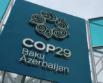COP29