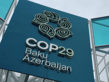 COP29
