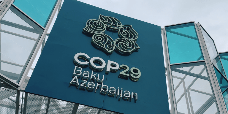 COP29