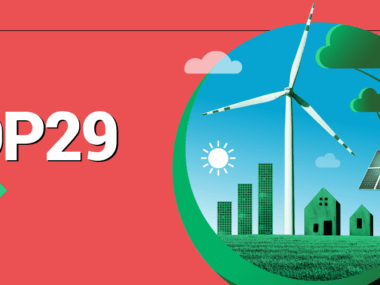 COP29