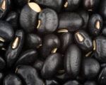 porotos negros