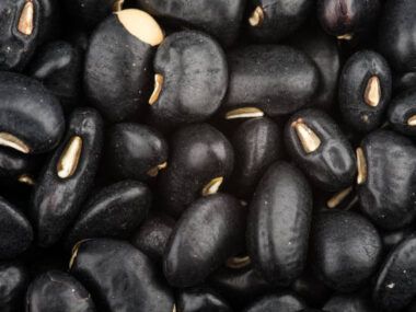 porotos negros