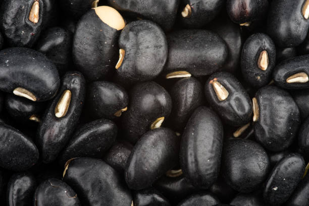 porotos negros