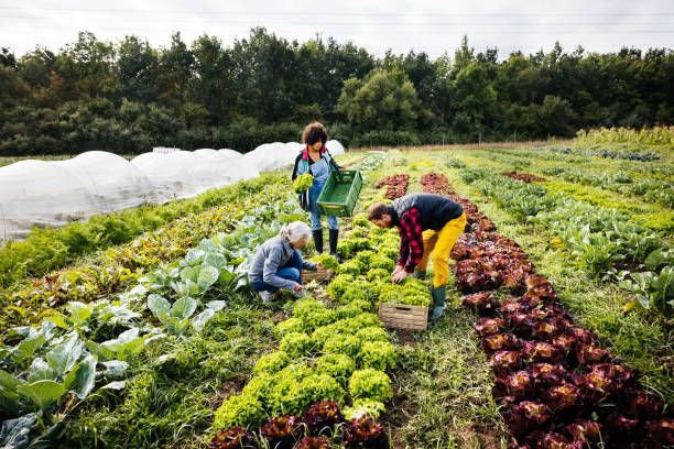 agroindustria argentina