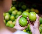 limones tucumanos