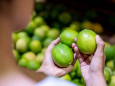 limones tucumanos