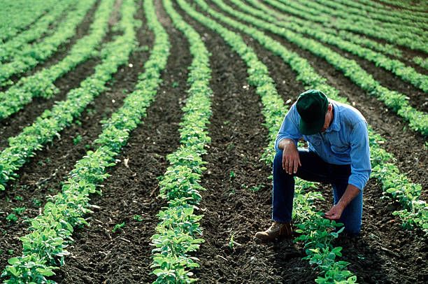 agroalimentario