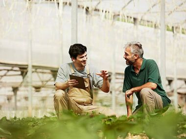 agroindustria argentina
