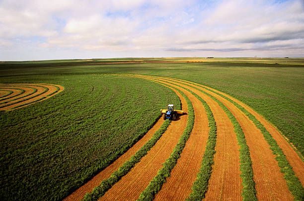 agroalimentario