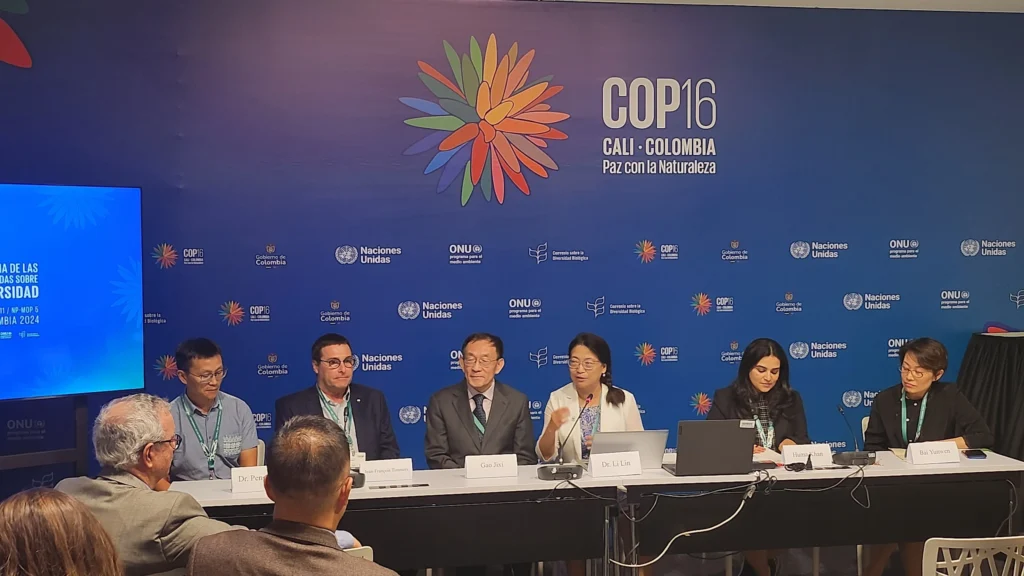 Brasil China