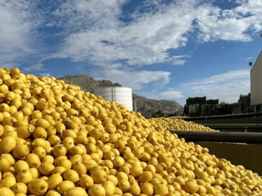 Grupo Ruiz