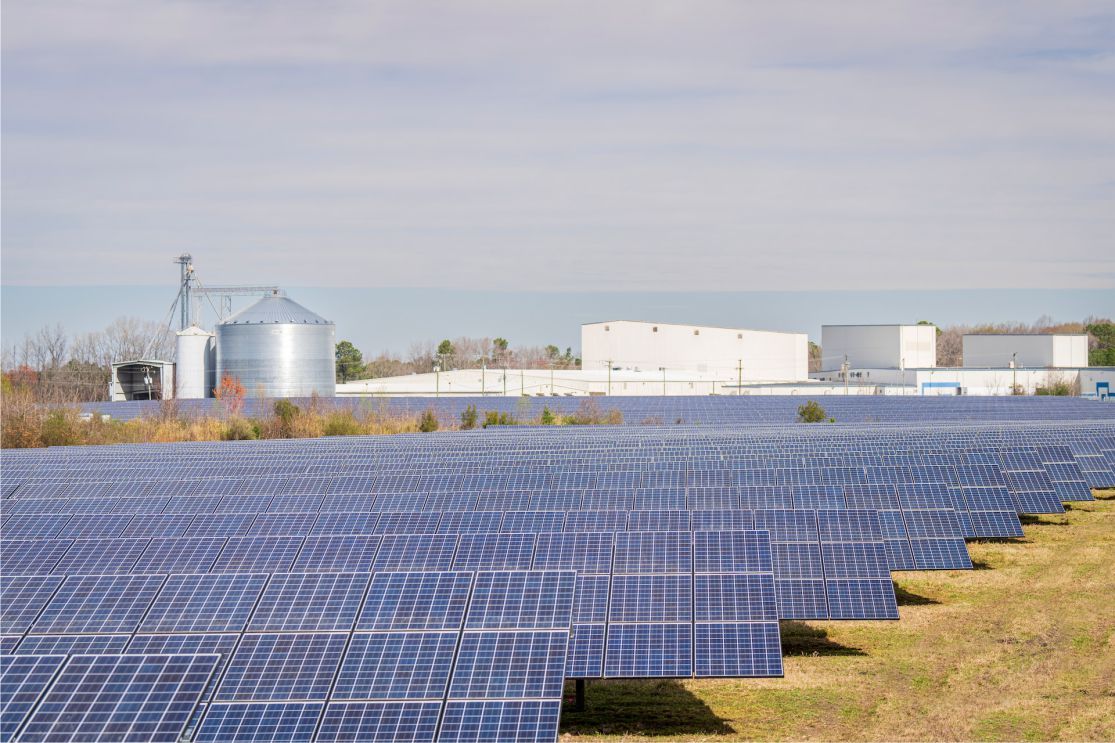 MSU Green Energy