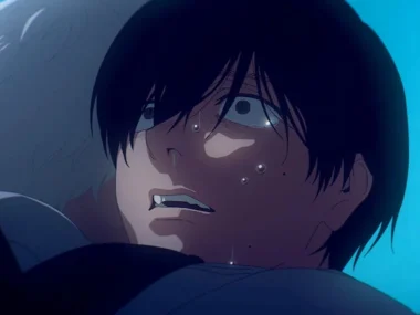 The Summer Hikaru Died