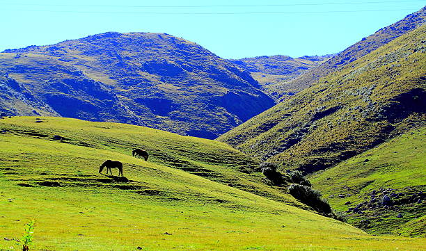 Ambiental