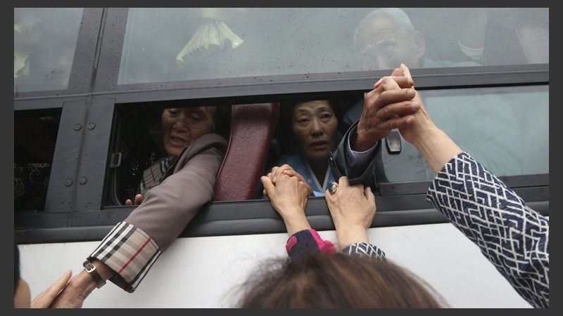 familias Corea