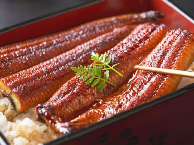 unagi