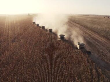 agroindustria agricultura