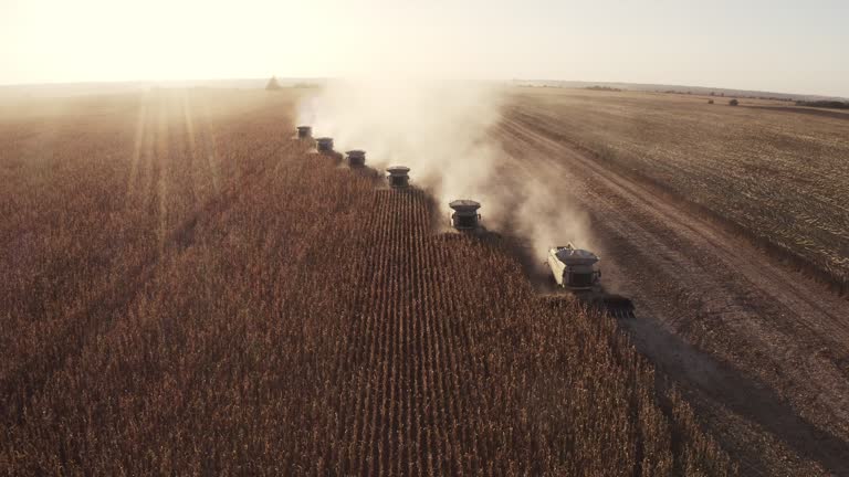 agroindustria