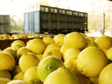 del limón