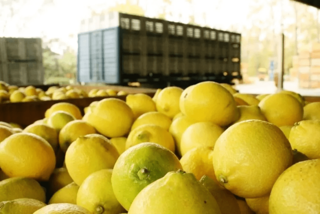 del limón