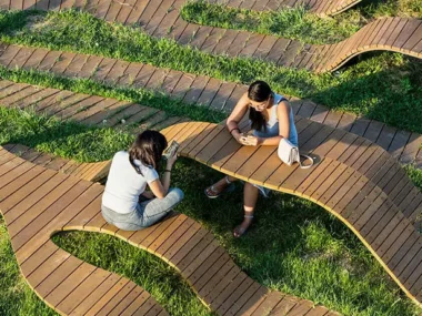 Root Bench