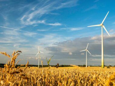 agricultura energía