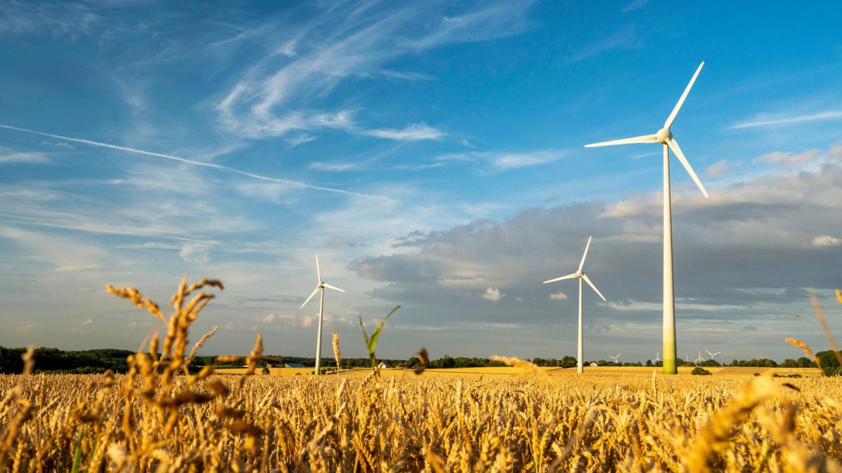 agricultura energía
