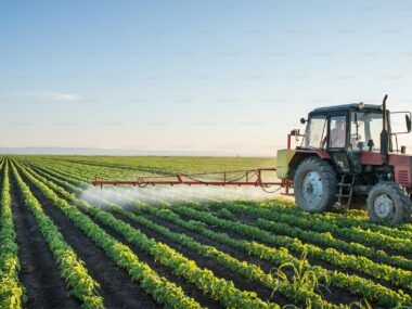 futuro agricultura