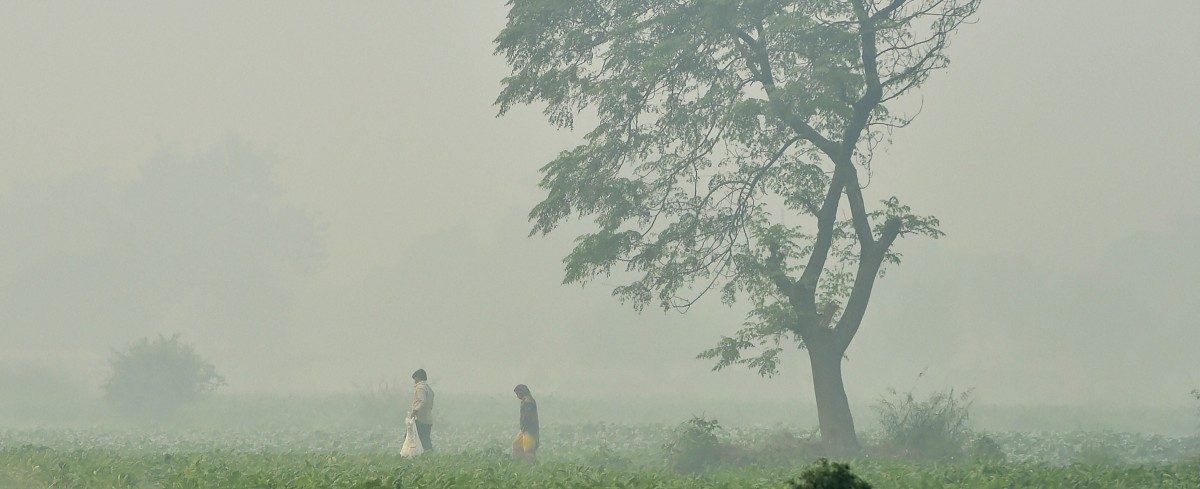 India contaminación