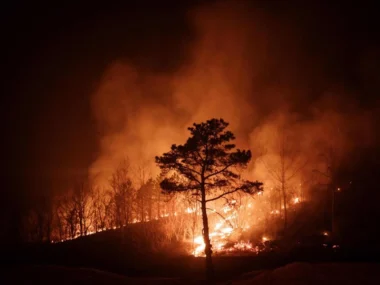 incendios Corea
